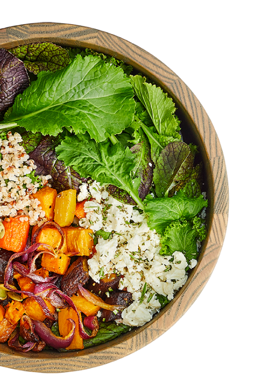 Veridi_Salad_1 Veridi_Salad_1